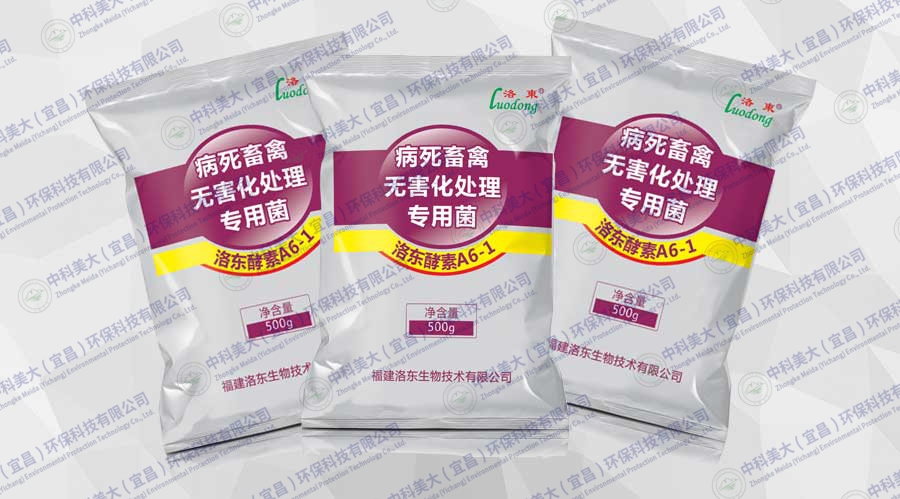 病死畜禽無害化處理專用菌(A6-1) 病死畜禽無害化處理專用菌(A6-1)